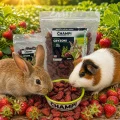 Truskawka suszona 200g karma dla królika świnki chomika gryzoni Champi