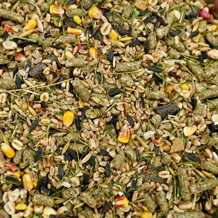 Karma dla królika PODSTAWOWA 4,5kg świnki gryzoni chomika pokarm Champi