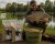 Bird Food zanęta wędkarska mielone ziarno dodatek do zanęt 4,5kg Champi