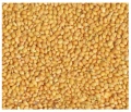Proso żółte złote 4,5KG Karma dla papug średnich falistej pokarm Champi