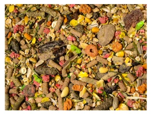 19kg Karma dla królika PODSTAWOWA świnki gryzoni chomika pokarm Champi