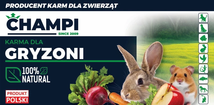 Gałązki gruszy 300g karma dla królika chomika świnki szynszyli Champi