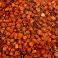 Marchew KULKA 500g marchewka suszona warzywa dla papug falistych średnich
