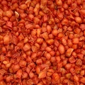 Marchew suszona KULKA 500g marchewka warzywa karma dla królika świnki Champ