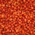 Marchew suszona KULKA 500g marchewka warzywa karma dla królika świnki Champ