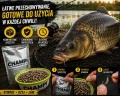 Robaki na ryby zanęta wędkarska biały robak saszetka 50x larwa muchy Champi