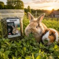Mięta suszona 350g karma dla królika chomika świnki gryzoni zioła Champi