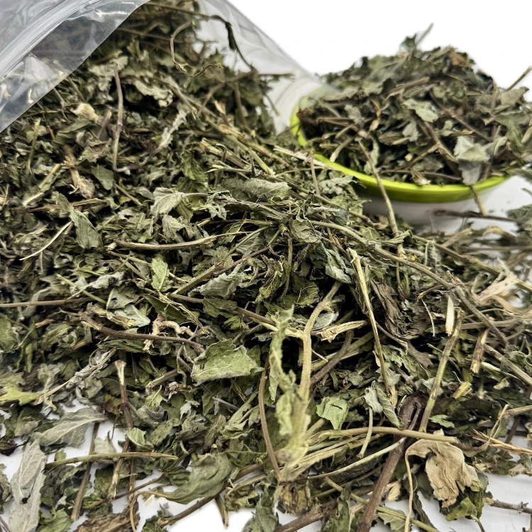 Mięta suszona 350g karma dla królika chomika świnki gryzoni zioła Champi