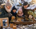 Karma zimowa dla ptaków MASŁO ORZECHOWE 350g 1x CHAMPI karmnik