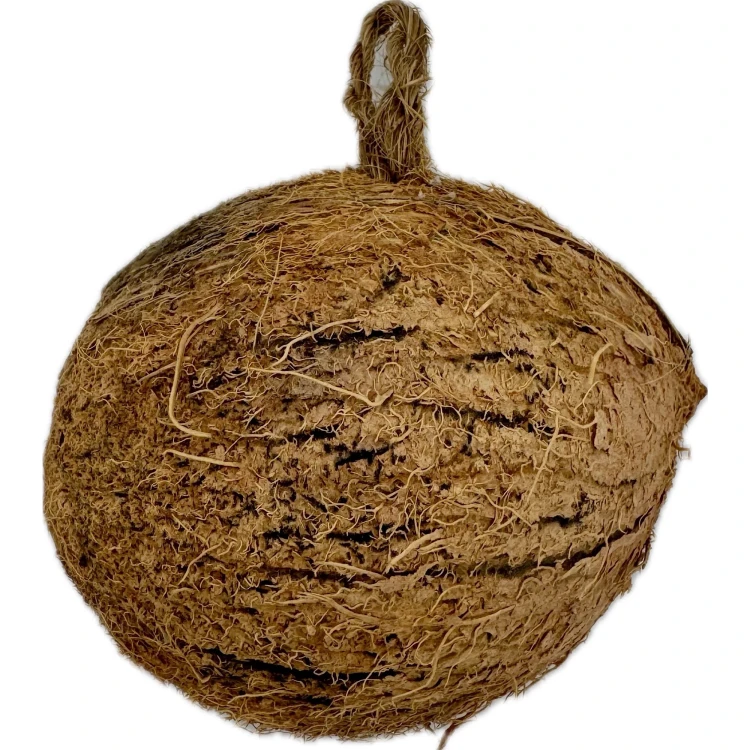 Karma dla ptaków zimujących KOKOS TŁUSZCZOWY połówka 20x CHAMPI