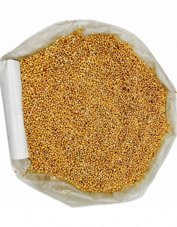 PROSO ŻÓŁTE 1kg złote karma dla papug falistych średnich pokarm Champi