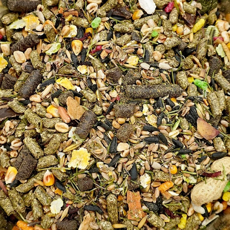 Karma dla królika PODSTAWOWA 14kg świnki gryzoni chomika pokarm Champi