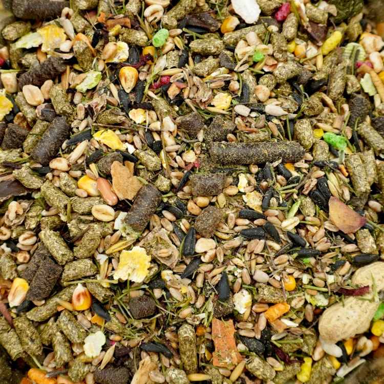 Karma dla królika PODSTAWOWA 19kg świnki gryzoni chomika pokarm Champi