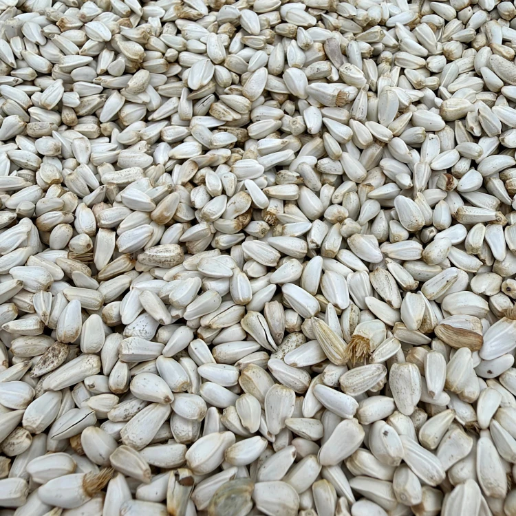 KARDI krokosz biały słonecznik 4,5kg Karma dla papug ziarno pokarm ptaków