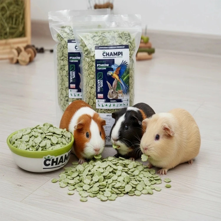 Groch Gnieciony 1kg płatek mikronizowany karma dla świnki gryzoni CHAMPI