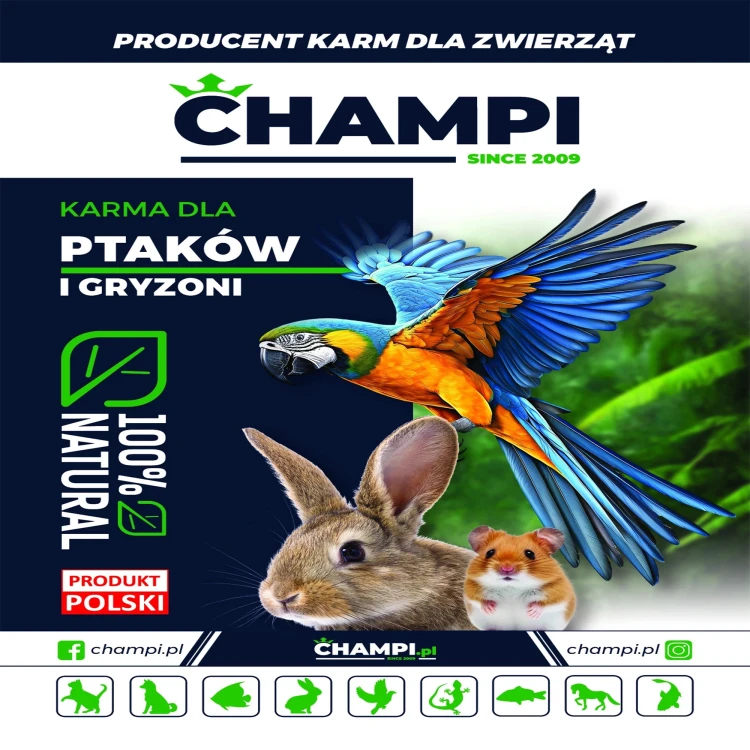Groch Gnieciony 1kg płatek mikronizowany karma dla świnki gryzoni CHAMPI